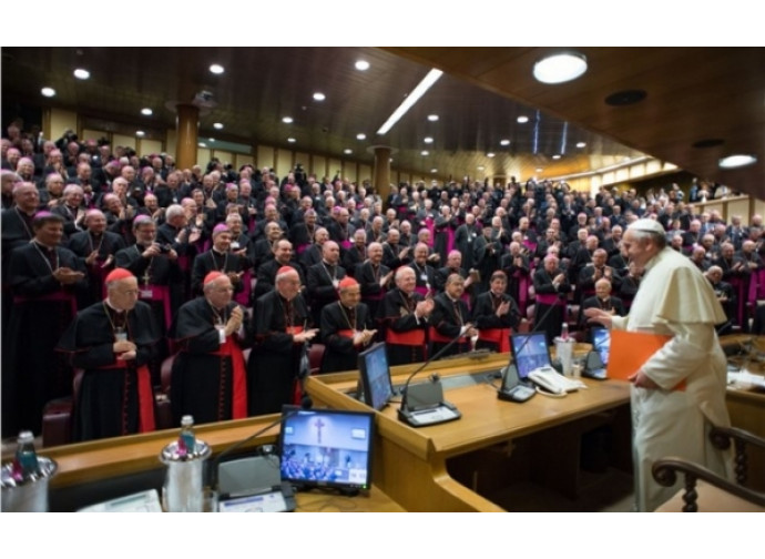 Il Sinodo Il Sinodo